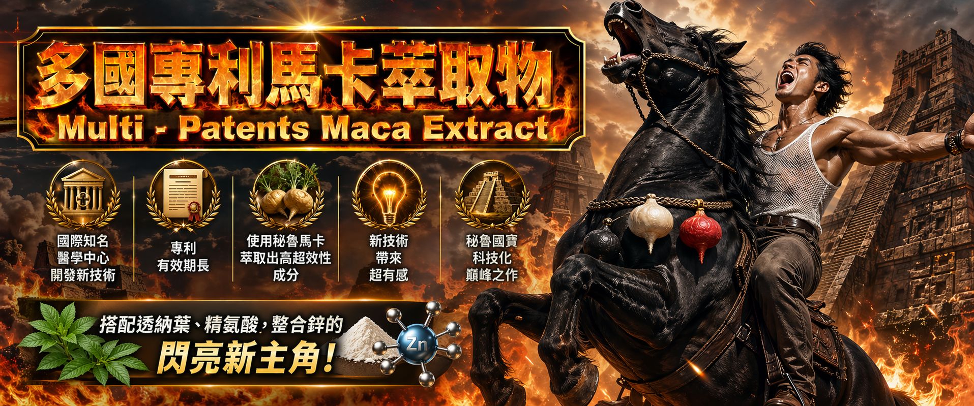 MACA